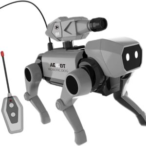 Aeigot robotski pas